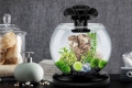 Recenzija aquarium tetra duo waterfall globe