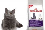 Recenzije royal canina za mačke